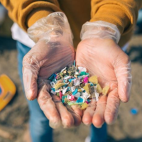マイクロプラスチック問題、その原因と私たちにできる対策とは？